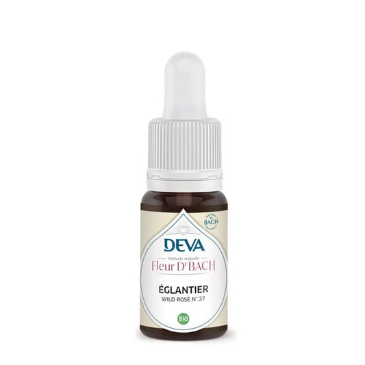 DEVA -- Eglantier (wild rose- n�37)
